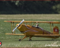 TSR Watermark - 0487